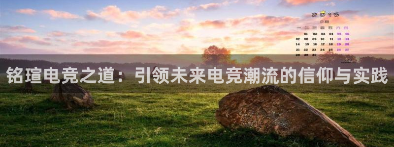 易游电竞CSGO解说：铭瑄电竞之道：引领未来电竞潮流的信仰与实践