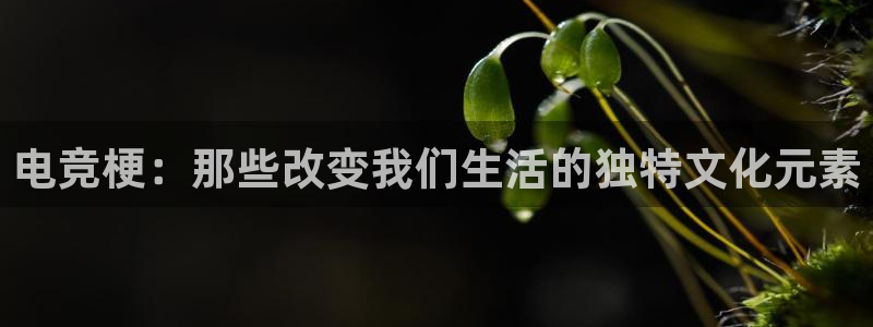 易游电竞馆