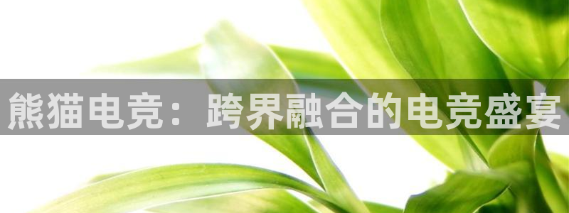 易游电竞淮阴区：熊猫电竞：跨界融合的电竞盛宴
