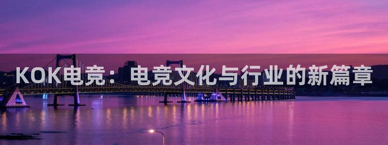 易游电竞中国区：KOK电竞：电竞文化与行业的新篇章