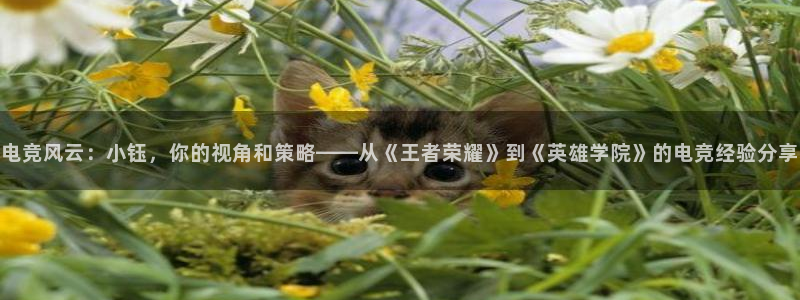 易游电竞：电竞风云：小钰，你的视角和策略——从《王者荣耀》到《英雄学院》的电竞经验分享