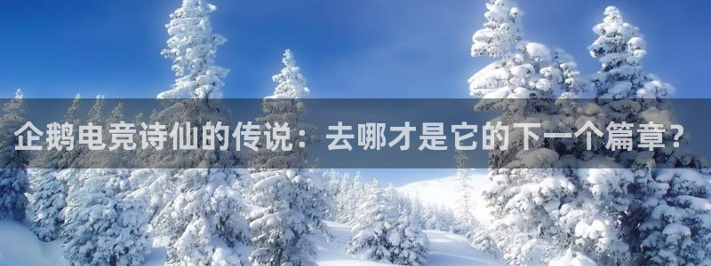 易游电竞馆：企鹅电竞诗仙的传说：去哪才是它的下一个篇章？