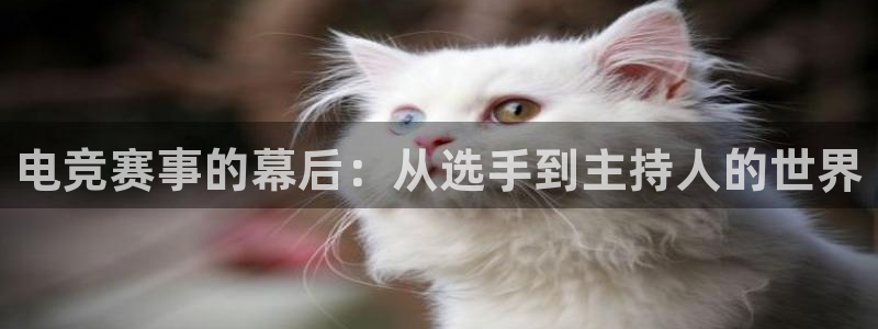 易游电竞王者荣耀大赛：电竞赛事的幕后：从选手到主持人的世界