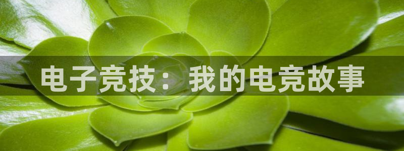 易游电竞平台：电子竞技：我的电竞故事