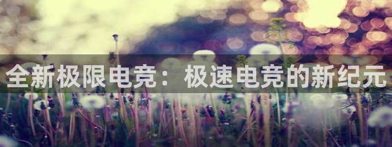 易游电竞王者荣耀大赛：全新极限电竞：极速电竞的新纪元