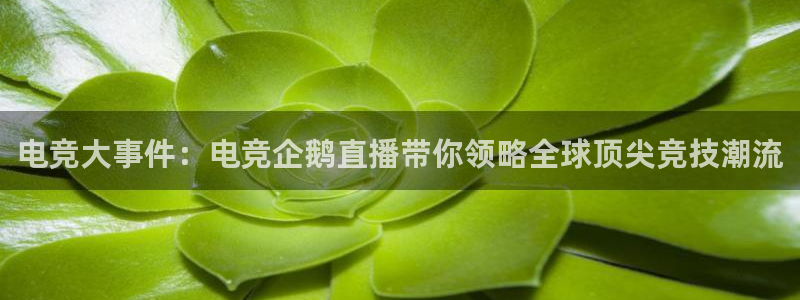 易游电竞王者荣耀大赛