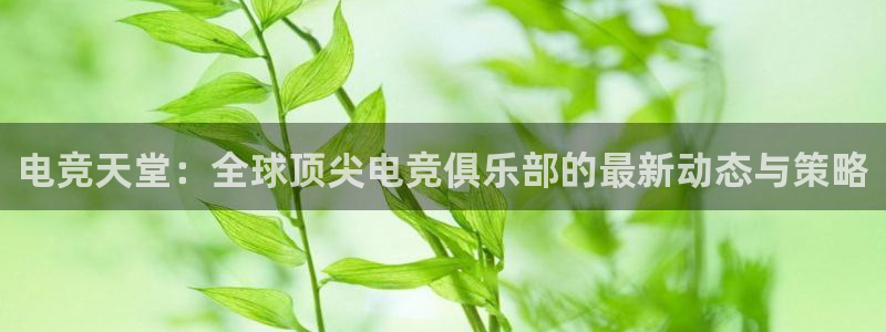 易游电竞淮阴区