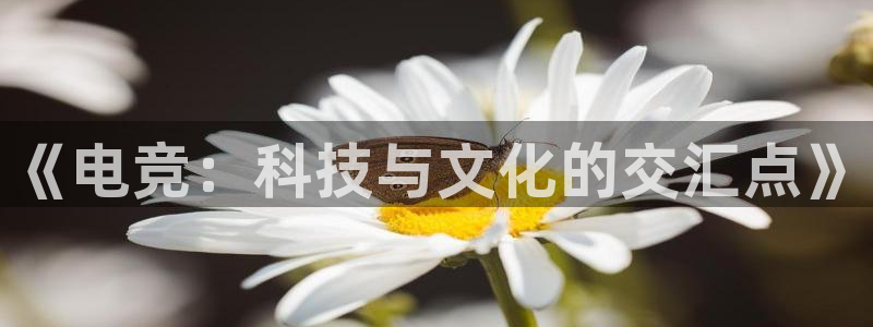 易游电竞平台