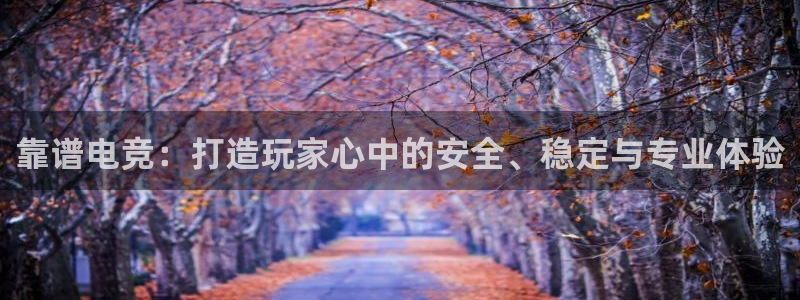 易游电竞王者荣耀大赛