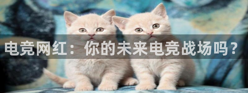 易游电竞